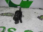 Kupplungsheberzylinder 9672094480 Citroën C3 (FC/FL/FT) Schrägheck 5-drs 1.4 HDi (DV4TD(8HX))