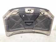 Motorhaube K2JA52310 Kia 2.0 Turbodiesel CAT