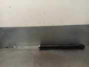 Stoßdämpfer Links Hinten 485300D860 Toyota Yaris III (P13) Schrägheck 1.0 12V VVT-i (1KR-FE)