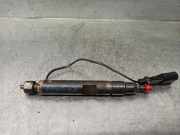 Kraftstoff-Injector 038130202C Skoda Fabia (6Y2) Schrägheck 5-drs 1.9 SDi (ASY)