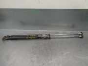 Gasdruckfedern Set Hinten 8178025561 Hyundai Accent Limousine 1.3 12V (G4EA)