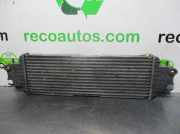 Ladeluftkühler 7700312903D Opel VIVARO 1.9 CDTI CAT (F9Q-760 / L08)
