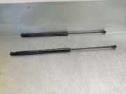 Gasdruckfedern Set Hinten 4081XM Citroën C4 Picasso (UD/UE/UF) Großraumlimousine 1.6 HDiF 16V 110 (DV6TED4(9HZ))