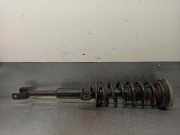 Sto?d?mpfer Rechts Vorne 31316778788 BMW 5 serie Gran Turismo (F07) Schr?gheck 520d 16V (N47-D20C)