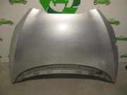 Motorhaube GRIS Seat (5P2) 1.9 TDI