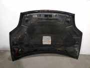 Motorhaube 51775925 Fiat Bravo (198A) Schr?gheck 1.9 JTD 16V Multijet 150 (937.A.5000)
