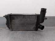 Ladeluftkühler 384G8 Citroën CITROËN JUMPER CAJA ABIERTA (1) 2.5 TDI