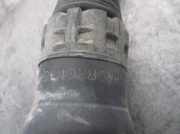 Gürtelschnalle 81455S04J12ZD Honda Logo (GA33) Schrägheck 1.3 (D13B7)