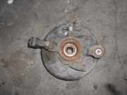 Achsschenkel Halter Links Hinten Land + Range Rover Freelander Hard Top Geländewagen 2.0 di (20LTCIE)