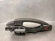 Türgriff Außen Rechts Vorne 806068893R Renault KASTEN 2.3 dCi Diesel CAT