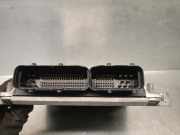 Kennzeichenbeleuchtung 5NA943021 Volkswagen TIGUAN (5N_) 2.0 TDI DFGA