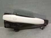 Türgriff Außen Rechts Vorne 806068654R Renault II (HF_) LPG (HFMT)