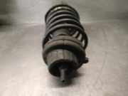 Sto?d?mpfer Links Vorne 50706284 Fiat Stilo MW (192C) Kombi 1.9 JTD 100 (192.A.9000)