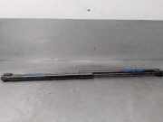 Gasdruckfedern Set Hinten 31333202 Volvo S60 II (FS) Limousine 2.0 D3 20V (D5204T2)