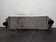 Ladeluftkühler 7700312903F Nissan Primastar Van 1.9 dCi 80 (F9Q-762)