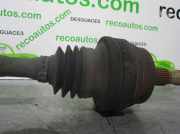 Schließplatte Kühlerträger DECHAPA Renault (F/KC0) 1.9 dTi Diesel