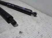 Anlasser 233001071R Smart Forfour (453) Schrägheck 5-drs 1.0 12V (H4D-A4)