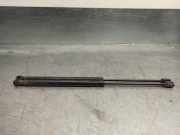 Bremssattel Links Vorne 77365812 Lancia Ypsilon (312) Schrägheck 1.2 (169.A.4000)