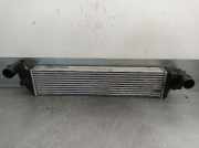 Ladeluftkühler 8200301883B Renault Espace (JK) Großraumlimousine 2.0 dCi 16V 130 FAP (M9R-740(M9R-A7))