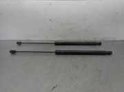 Gasdruckfedern Set Hinten 1699800864 Mercedes-Benz CLASE B Sports Tourer (W245) B 180 CDI (245.207)