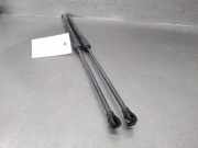 Gasdruckfeder Set Vorne 654702017R Dacia Logan Express (FS) Van 1.4 (K7J-710)