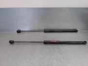 Gasdruckfedern Set Hinten 9800717680 Citroën C4 Berline (NC) Schrägheck 5-drs 1.6 Hdi (DV6C(9HD))