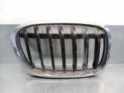 Grill 7354824 BMW X1 (F48) SUV sDrive 18d 2.0 16V (B47-C20A)