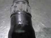 Stoßdämpfer Rechts Hinten Fiat Scudo (270) Van 1.6 D Multijet (DV6UTED4(9HU))