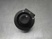 Spiegelverstellung Schalter 255704649R Renault III FURGÓN CAJA CERRADA