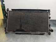 Radiator 1C1H8005JC Ford Transit Van 2.0 TDdi 16V (ABFA)