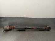 Stoßdämpfer Links Hinten 8R0513035E Audi Q5 (8RB) SUV 2.0 TDI 16V Quattro (CAHA)