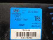 Multifunctionelle Display 9571039051 Hyundai XG Limousine 3.5 V6 24V (G6CU)