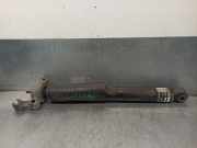 Türgriff Außen Ra 836653J000 Hyundai iX55 SUV 3.0 CRDI V6 24V (D6EA)