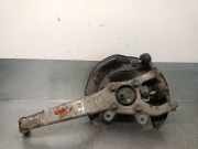 Achsschenkel Halter Links Vorne 4320253010 Lexus III (_E3_) 300h (AVE30_)