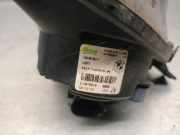 Nebelscheinwerfer Links Vorne 63177199619 BMW 5 serie Gran Turismo (F07) Schrägheck 530d xDrive 24V (N57-D30A)