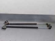 Gasdruckfedern Set Hinten 1498071080 Peugeot Expert Tepee (G9) Großraumlimousine 2.0 HDiF 16V 130 (DW10CD(AHZ))