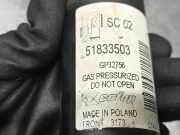 Sto?d?mpfer Links Vorne 51833503 Fiat Grande Punto (199) Schr?gheck 1.2 Euro 5 (169.A.4000)