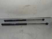 Gasdruckfedern Set Hinten 8200735264 Dacia (BS_) 1.6 (BS0D, BS0B, BS0F, BS0H)