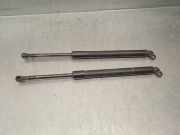 Gasdruckfeder Set Vorne 51238174866 BMW 5 serie (E39) Limousine 530d 24V (M57-D30(306D1))