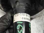 Sto?d?mpfer Links Vorne 51620TF0G13 Honda Jazz (GE6/GE8/GG/GP) Schr?gheck 1.4 VTEC 16V (L13Z1)