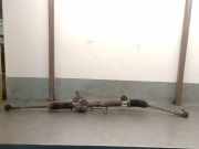 Lenkgetriebe 3S413A500AB Ford Focus 1 Limousine 1.6 16V (FYDA)