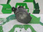 Nebelscheinwerfer Rechts Vorne Renault LAGUNA II (BG0) 1.9 dCi Diesel