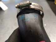 Schlauch F1F16K863AA Ford FOCUS LIM. (CB8) 1.0 EcoBoost CAT