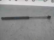 Gasdruckfedern Set Hinten 9639853880 Citroën C3 (FC/FL/FT) Schrägheck 5-drs 1.1 (TU1JP(HFX))