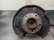 Achsschenkel Halter Links Hinten BMW SERIE 3 LIM. (F30) 2.0 Turbodiesel