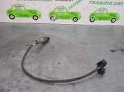 Lambdasonde 8200495791 Renault Clio III (BR/CR) Schrägheck 1.2 16V 75 (D4F-740(D4F-D7))