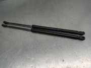 Gasdruckfedern Set Hinten 6895002041 Toyota Corolla (E12) Schr?gheck 1.4 D-4D 16V (1NDTV)