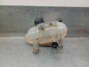 Ausgleichbehälter - - 217101893R Renault III Autobús (JG_) 1.6 dCi 95 (JGMR, JGMJ)
