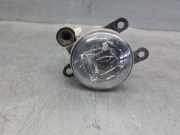 Nebelscheinwerfer Rechts Vorne JX7B15A254AB Ford Puma SUV 1.0 Ti-VCT EcoBoost mHEV 12V (B7JB)