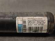 Stoßdämpfer Rechts Hinten 9809739280 Citroën C4 Cactus (0B/0P) Schrägheck 5-drs 1.6 Blue Hdi 100 (DV6FD(BHY))